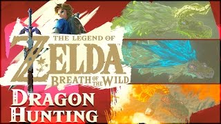 How To EASY HUNT DRAGONS In The Legend of Zelda Breath of the Wild [upl. by Ellenahc82]