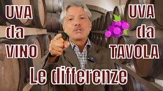 CONOSCI LE DIFFERENZE tra UVA da TAVOLA e UVA da VINO [upl. by Anirdnaxela126]