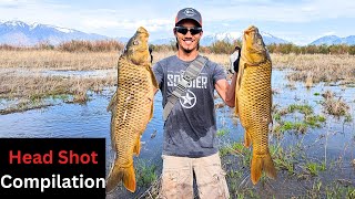 Bowfishing A FLOODED FIELD Utah Lake Bowfishing [upl. by Let79]