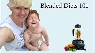 Blended Diets 101 UPDATED [upl. by Maltzman]