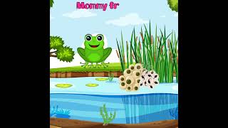 Silly School Songs  Life Cycle of a Frog learning shorts sciencefacts [upl. by Nodanrb]