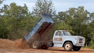 Dodge d600 dump truck is put to work [upl. by Eniloj76]