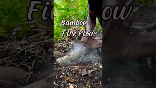 Fire plow in the interior forest firemaking [upl. by Iba]