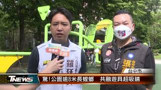 驚公園逾8米長螳螂 共融遊具超吸睛 │TNEWS聯播網 [upl. by Akahc403]