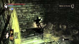 Demons Souls Expert Walkthrough 22  Black Phantom Primeval Demon Hunting Chronicles 22 [upl. by Ximenez656]