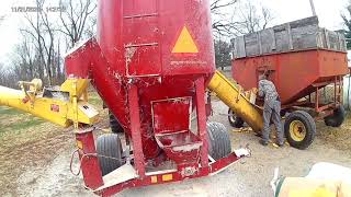 Grinding cattle feed from ear corn with the International 1486 and New Holland 354 [upl. by Kliment]