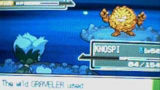 Pokemon Platinum  Victory Road Shiny Graveler [upl. by Gleason]