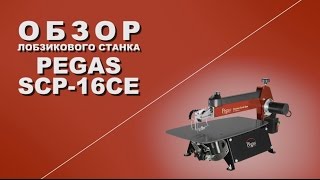 Обзор Лобзиковый станок Pegas SCP16CE [upl. by Ranchod]