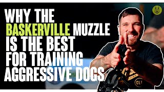 Why The Baskerville Muzzle Is The BEST For Training Aggressive Dogs [upl. by Nishi411]