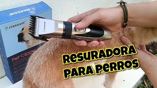 Pet Clipper stardom  Maquina para Perros  Como usar  Es Buena [upl. by Nell]