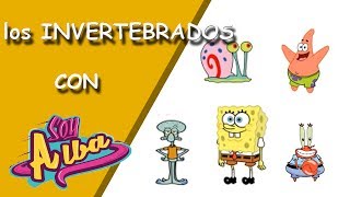 Los animales INVERTEBRADOS para niños primaria con Bob Esponja [upl. by Atis]