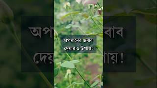 অপমানের জবাব দেয়ার ৬ উপায় motivation anisul anisulislamofficial [upl. by Hassadah]