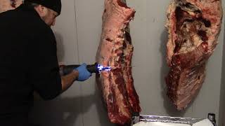 Ron P Meat Processing Beef 1 [upl. by Kammerer]