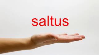 SALTUS  A Brief History of Movement [upl. by Tolland]