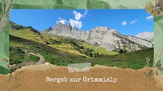 Bergab zur Grimmialp Naturpark Diemtigtal Berner Oberland [upl. by Dunstan]