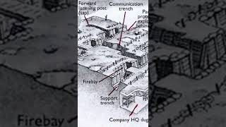 Trench System WW1 interesting history ww1 story fyp [upl. by Petra]