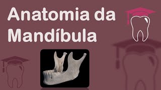 Anatomia da Mandíbula [upl. by Vihs]