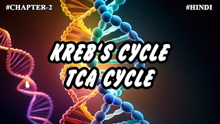 Chapter 2  Metabolism Of Carbohydrates Part3  Krebs cycle TCA cycle [upl. by Joan]