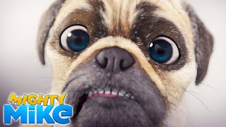 MIGHTY MIKE 🐶 Chikies Return 🐔 Episode 09  Full Episode  Cartoon Animation for Kids [upl. by Ardussi852]