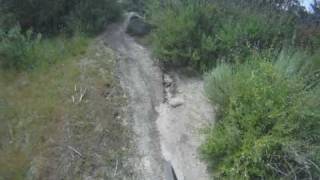 rattlesnake at Calavera Lake [upl. by Ettenaj]