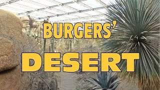 Burgers Zoo Desert [upl. by Samalla]