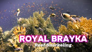 Egypt  Marsa Alam  Royal Brayka Resort Coral Reef [upl. by Ariday]