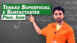 Química  Tensão Superficial e Surfactantes [upl. by Faxen436]