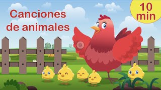 Canciones de animales para niños  Animales de la granja gallina caballo vaca pato ratón [upl. by Iverson]