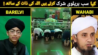 Kya sab barelvi shirk karte hain  barelvi shirk exposed Ali ahmad qadri reply to Mufti tariq masood [upl. by Sulihpoeht508]