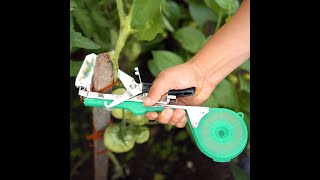 Easy up gardening with clever DIY and Amazon gadgets 👍🏼 shorts [upl. by Hippel]