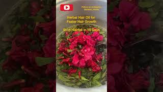 Hair Growth Oil 100 Natural hairgrowthoil amlareethashikakai hairrepair herbalshampoo hairoil [upl. by Rosamund]