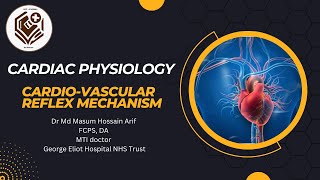 Physiology lecture Cardiovascular reflex mechanism [upl. by Damita43]