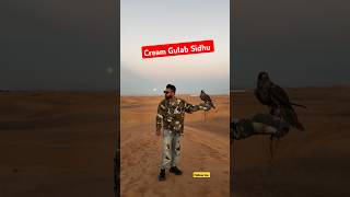 Cream Gulab Sidhu  Gurlez Akhtar  New Punjabi Song 2024  Punjabi New Song  Punjabi Song  Music [upl. by Clarissa]