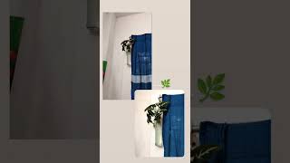 Snake plantplants indoorplants snakeplant shortvideo shorts nature [upl. by Akira205]