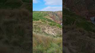 Cape Woolamai australian rockycliff coast beachwalk scenicviews coast asmrvideo traveller [upl. by Derinna]