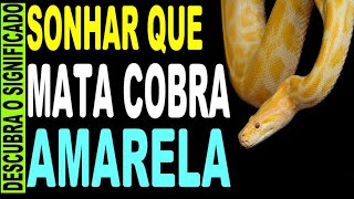 🔥 SONHAR QUE MATA UMA COBRA AMARELA O QUE SIGNIFICA SONHAR MATA COBRA AMARELA SONHAR COM COBRA [upl. by Ynohtn331]