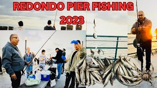 REDONDO BEACH PIER FISHING 2023 [upl. by Proudfoot141]