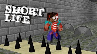 Minecraft Mobs SHORT LIFE CHALLENGE  Minecraft Animation [upl. by Mathre500]