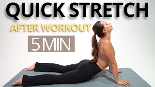 5 MIN QUICK FULL BODY STRETCHING EXERCISES FOR AFTER WORKOUT  Relax recover and gain flexibility [upl. by Chanda]