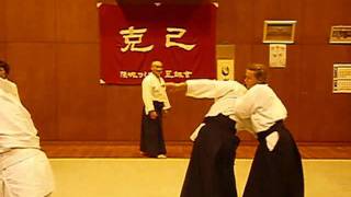 Aikido Todays Practice 20110806wmv [upl. by Kalindi]