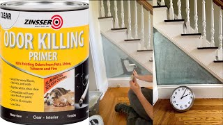 Zinsser Odor Killing Primer  Review [upl. by Noied]