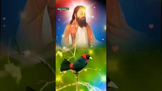 Os Rabb Sacche Ton 🙏 Guru Ravidas Ji Maharaj New Letest Gurbani Punjabi Status satguru shorts [upl. by Nylodnarb]