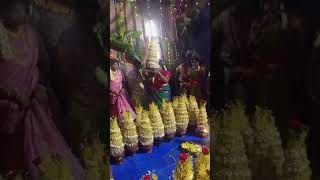 Parammankurichi ayyanar nagar 15102024 sri mutharamman kovil kodai🌿 [upl. by Etsirk]