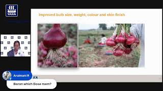 Complete Crop Nutrition in Small Onion [upl. by Walters246]