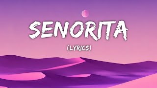 Senorita slowed and reverb  Lyrics video [upl. by Sande]