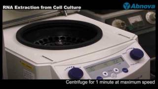 RNA Extraction from Cell Culture [upl. by Carlisle]