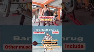 BARBELL SHRUGS ytshorts gymroutine fitnessfort [upl. by Menken585]