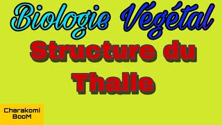 Cours Biologies Végétal  Structure du Thalle  💯validé ✅ [upl. by Sacul449]