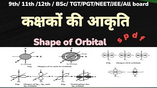 Spdf कक्षकों की आकृति  Shape of s p d f orbital  कक्षकों की आकृति  Shape of orbital viral [upl. by Rosmarin]