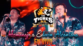 Los Tigres De La Cumbia  Homenaje a Edwin Alcántara  En el Edén En Vivo [upl. by Herzen]